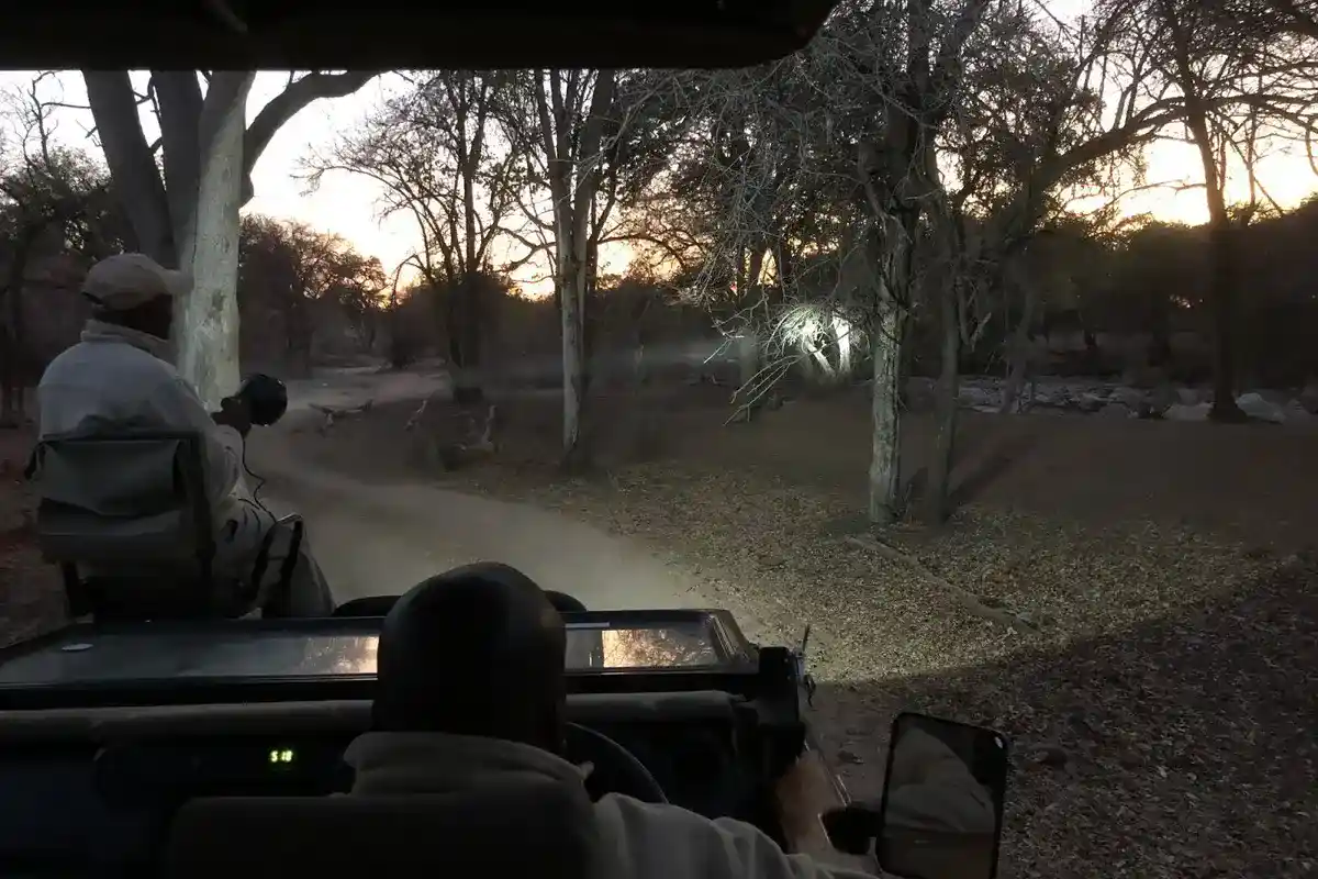 Night Game Drive in Tanzania, Lake Manyara National Park