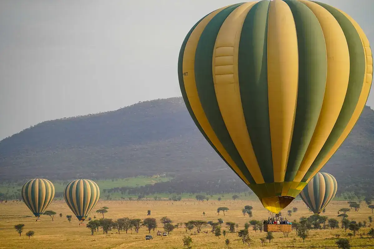 Serengeti Hot AirBalloon Safari