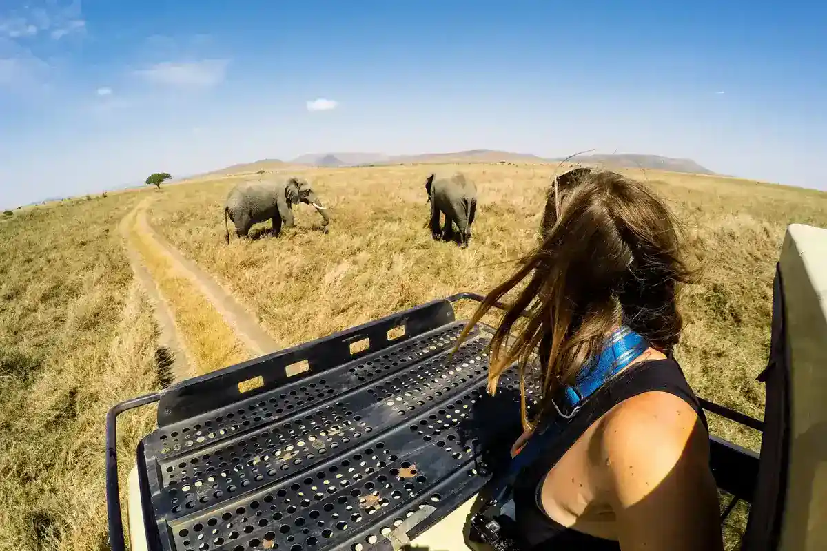 Captivating image showcasing the incredible wildlife and landscapes during Tanzania Tours and Safari, featuring majestic animals in their natural habitat.