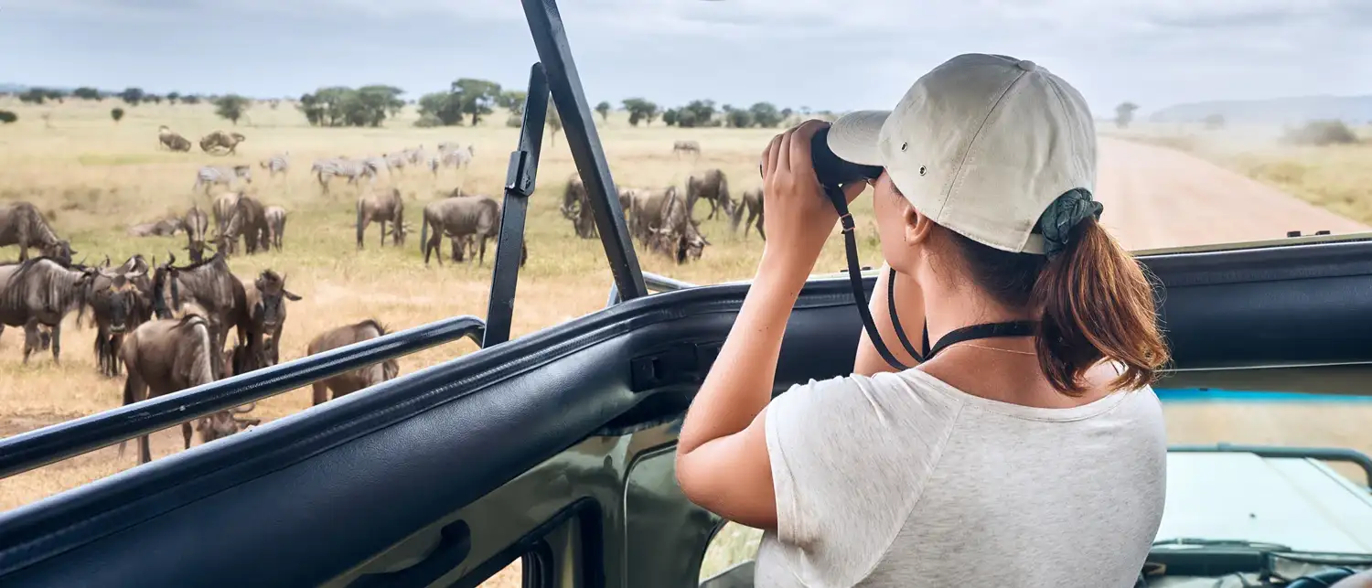 Wildlife game drives