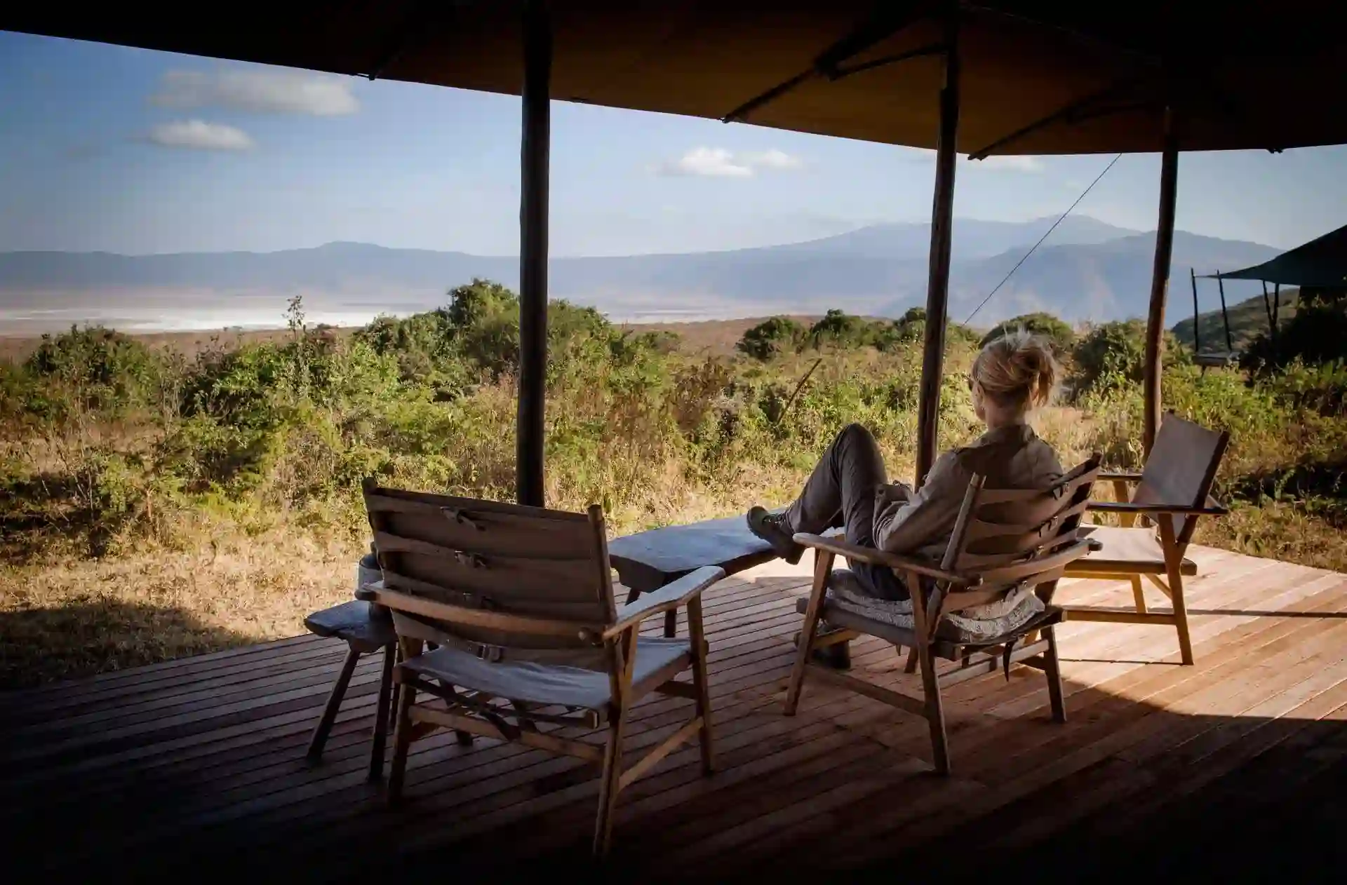 Captivating image showcasing the incredible wildlife and landscapes during Tanzania Tours and Safari, featuring majestic animals in their natural habitat.